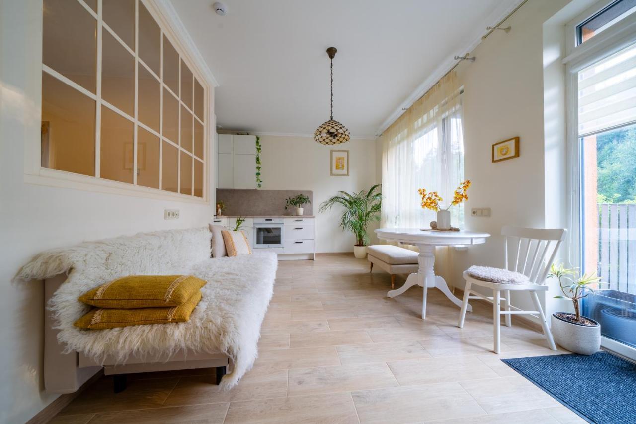 Apartment Cozy In Santariskes *