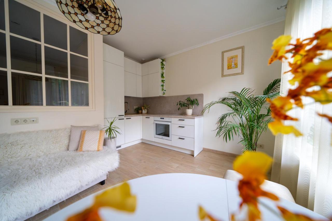 Apartment Cozy In Santariskes